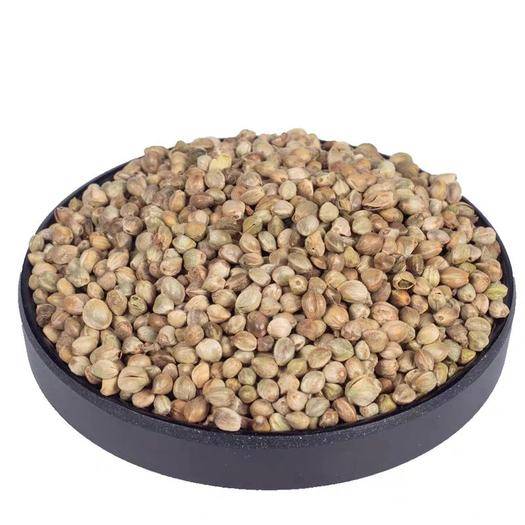 【钢城文苑】麻籽 【钢城文苑】麻籽