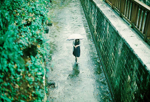 【钢城文苑】一蓑烟雨任平生