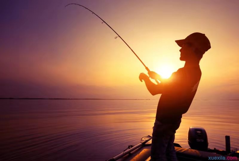 【钢城文苑】渔趣 【钢城文苑】渔趣