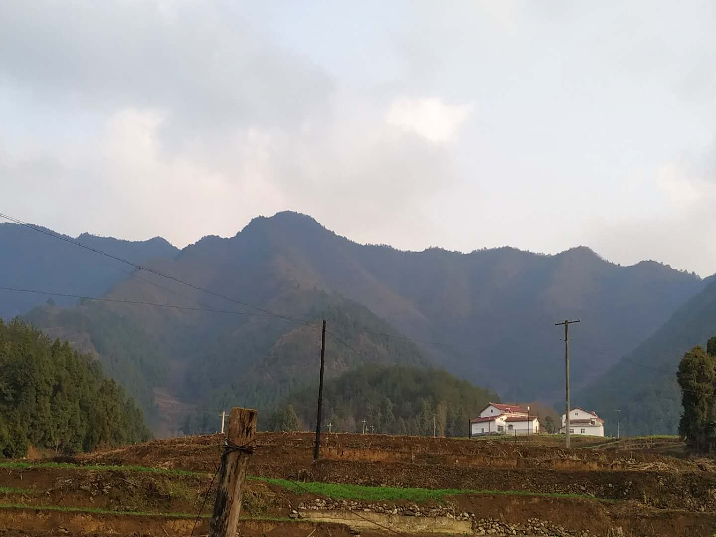 【钢城文苑】回家 【钢城文苑】回家