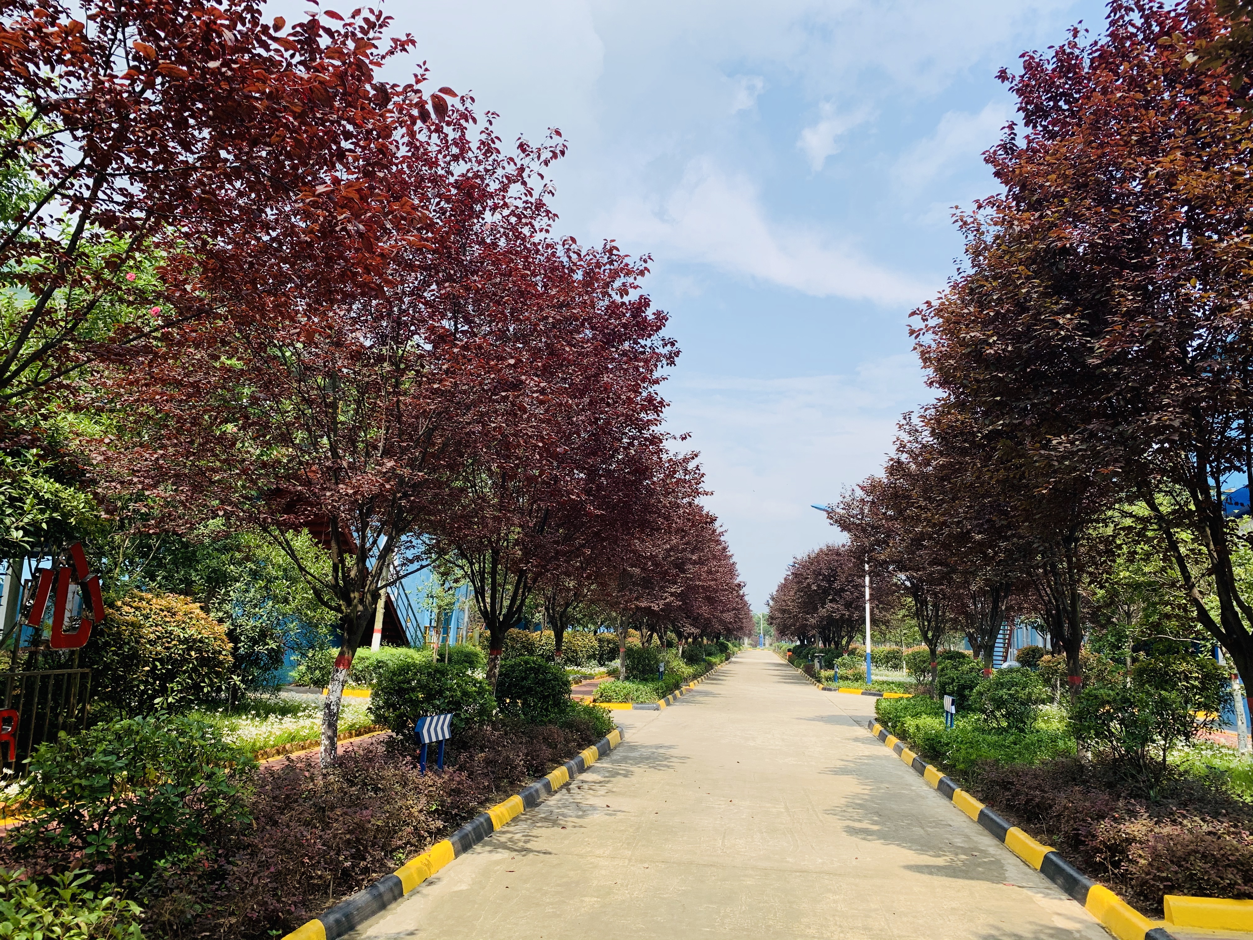 【钢文苑】我爱你，钢城