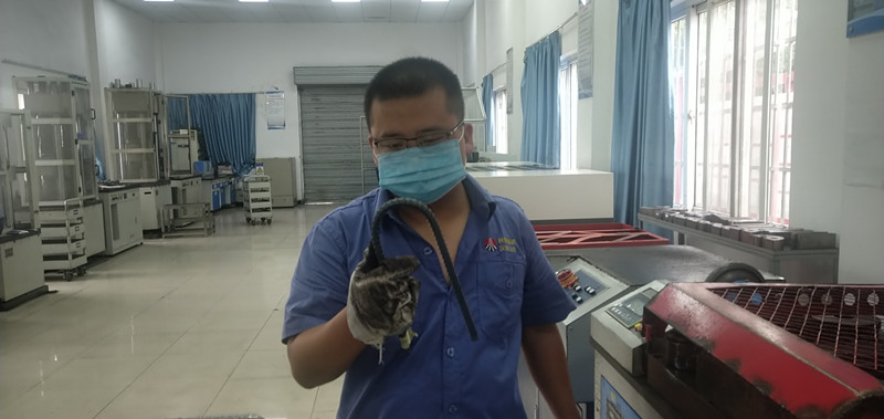 【一线风采】杨凯：岗位“急先锋”让工作更有“推背感”