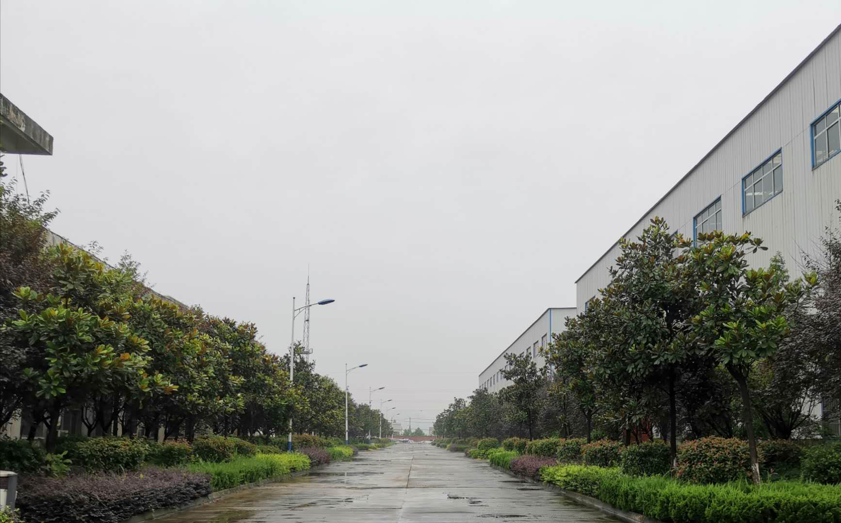 【散文】夏花秋实