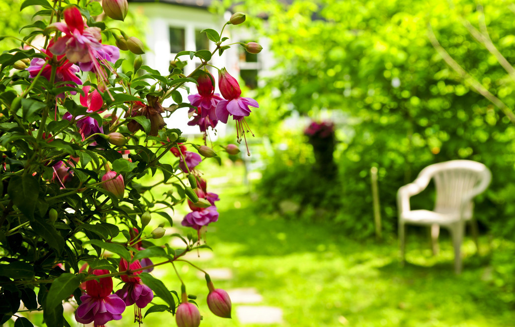 【散文】母亲的园子