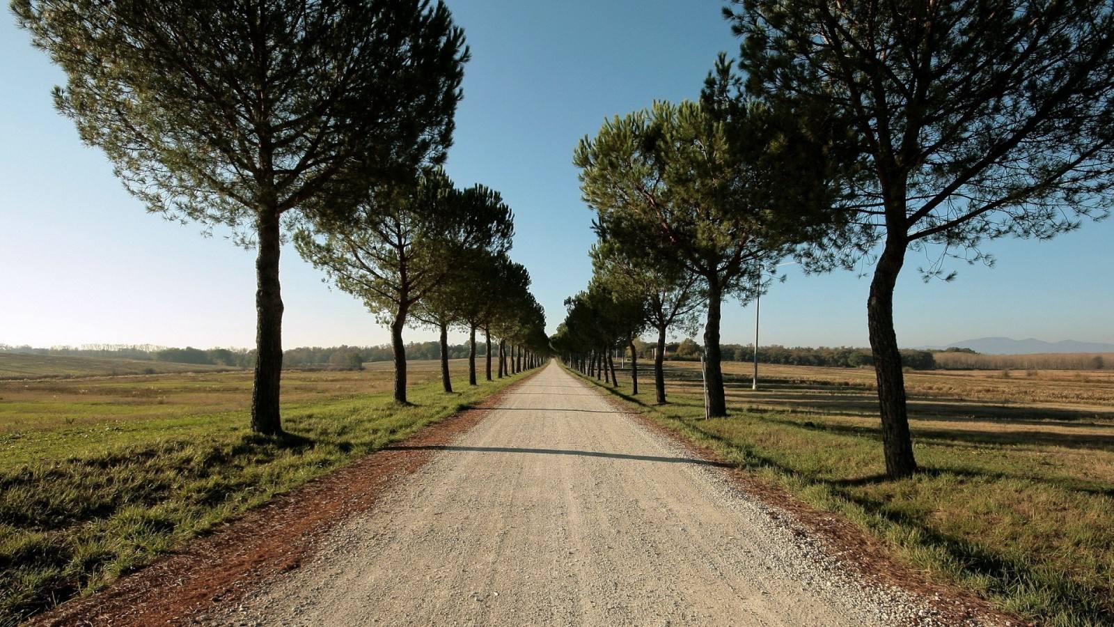 【钢城文苑】路，一直在变