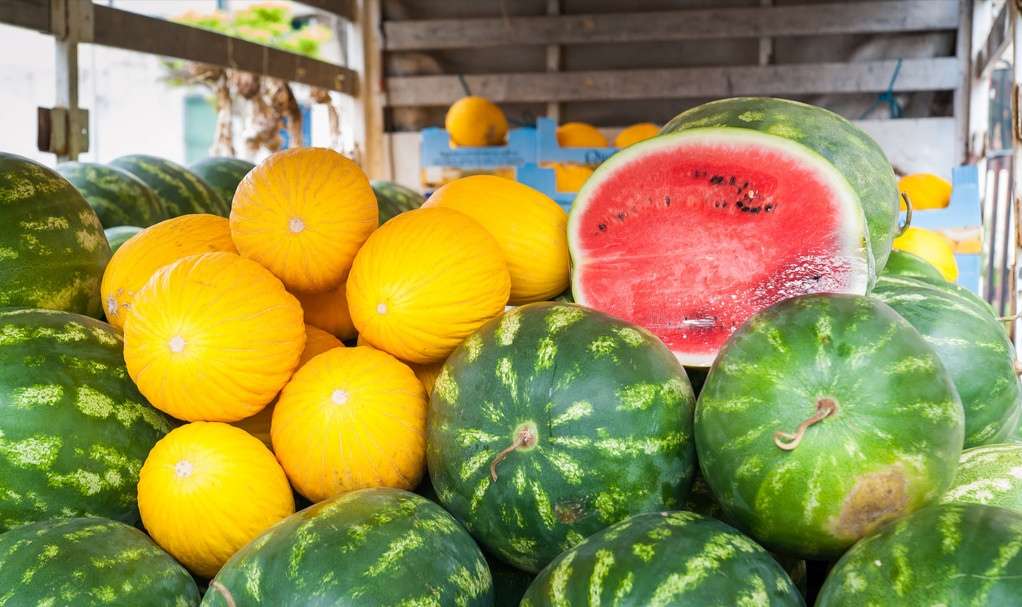 【钢城文苑】忆夏,是五彩的 【钢城文苑】忆夏,是五彩的