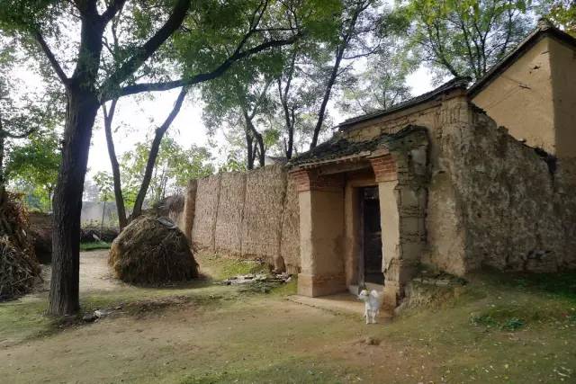 【钢城文苑】夏天的记忆 【钢城文苑】夏天的记忆