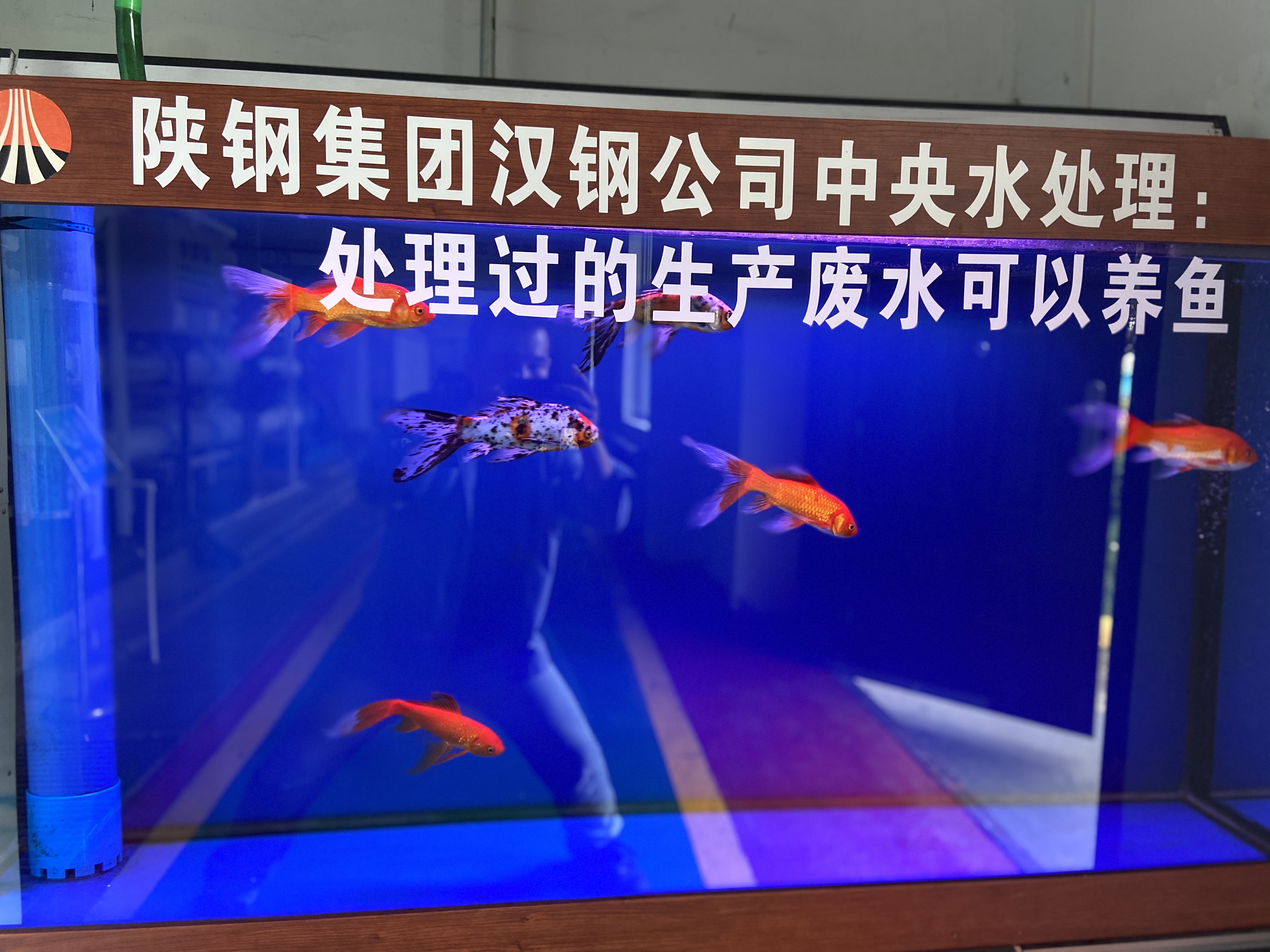 【钢城文苑】我的“新家”