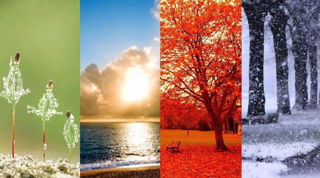 【散文】因为遇见  所以感恩