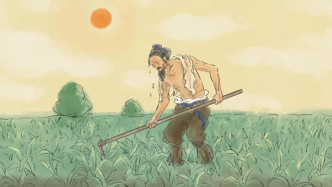 【散文】再读《悯农》 【散文】再读《悯农》
