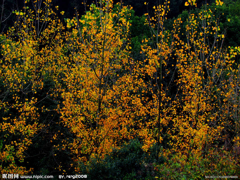 【钢城文苑】山村秋色