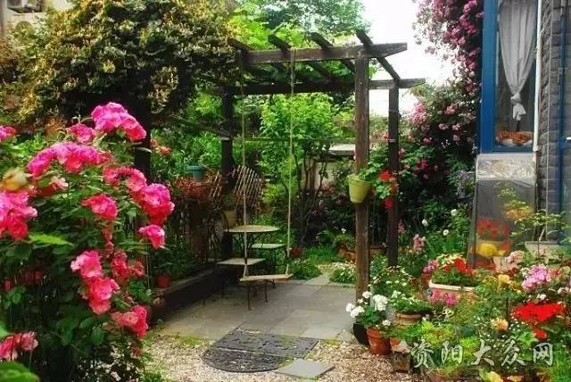 【钢城文苑】小院深深