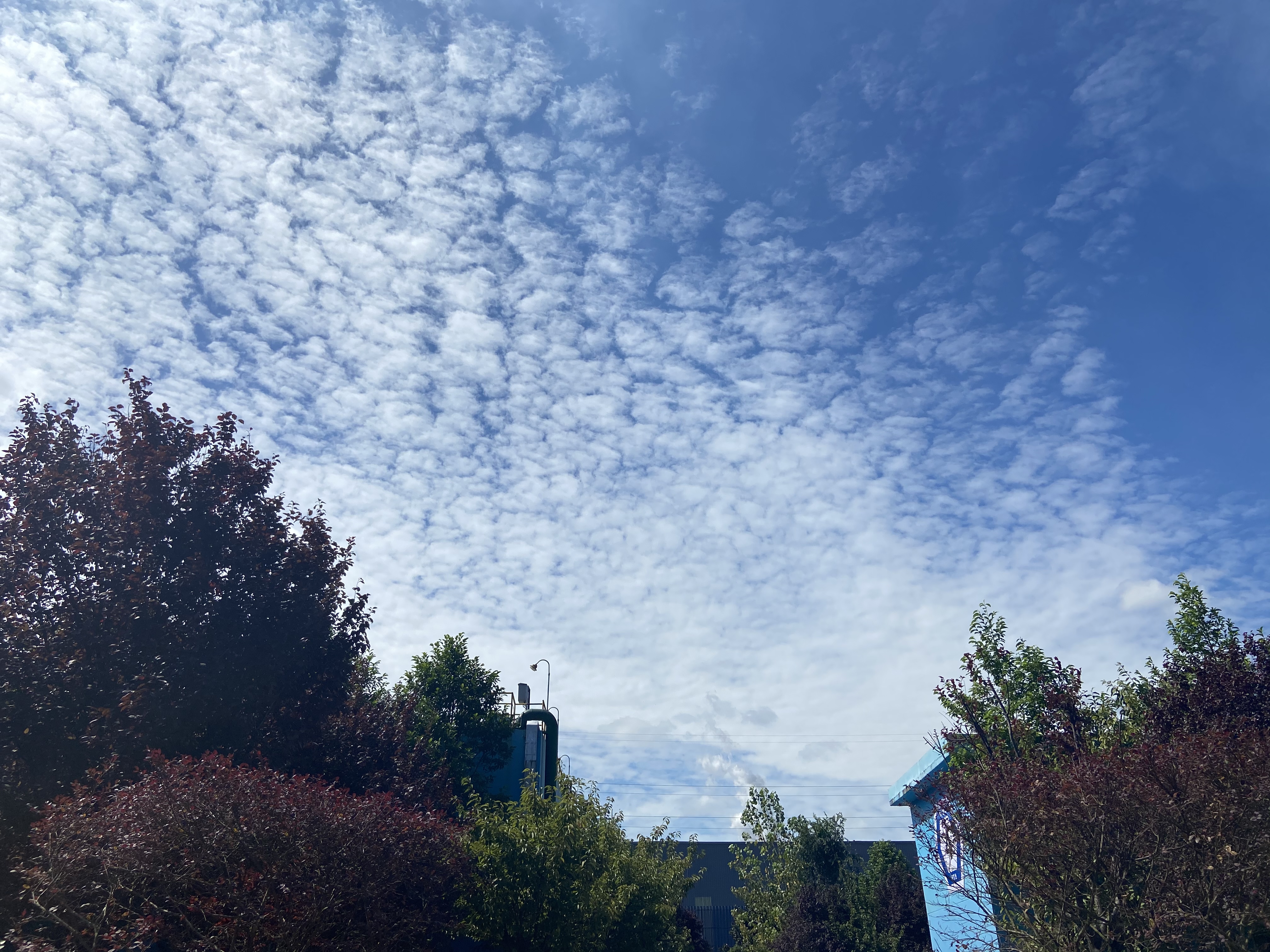 【散文】醉美汉钢蓝 【散文】醉美汉钢蓝