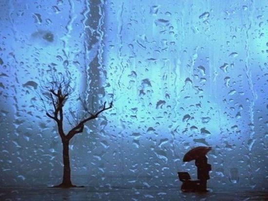 【散文】风吹雨
