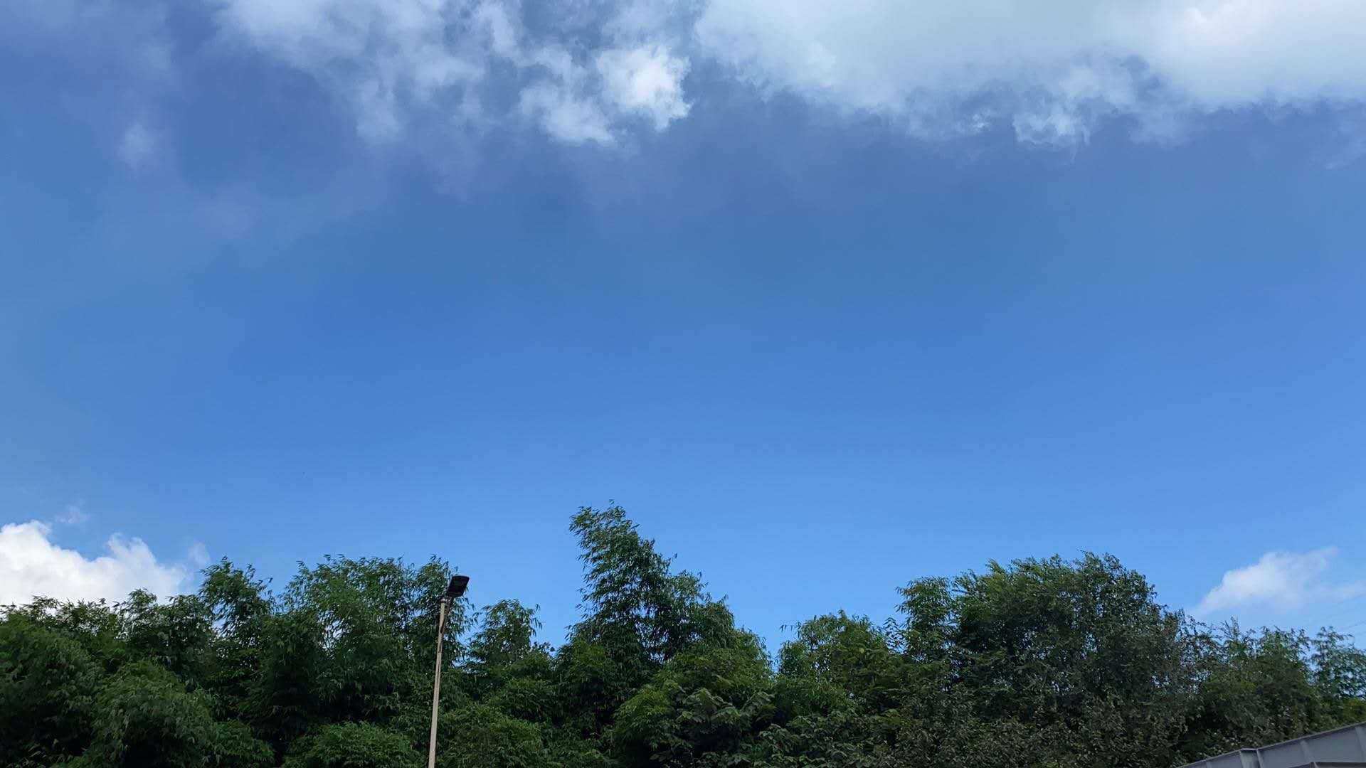 【钢城文苑】钢城的那片竹 【钢城文苑】钢城的那片竹