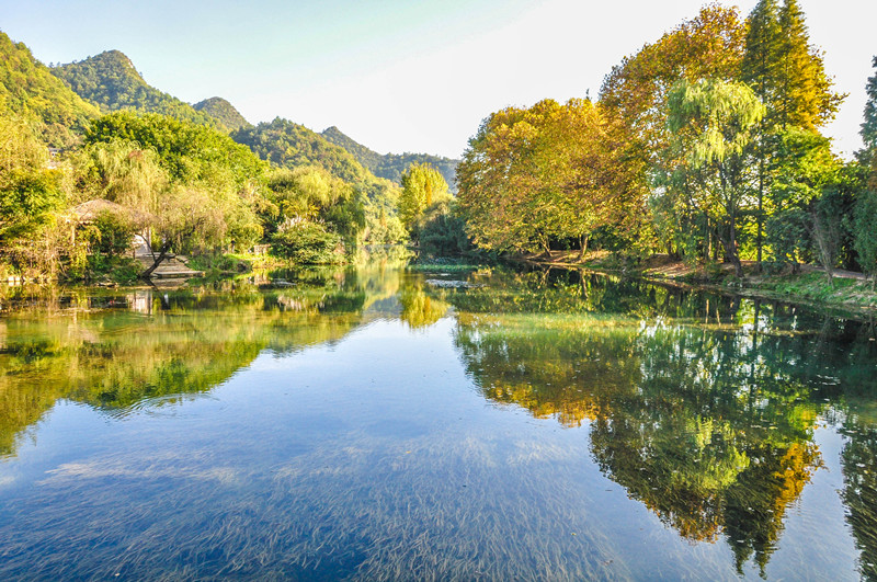 【钢城文苑】知 秋 【钢城文苑】知 秋