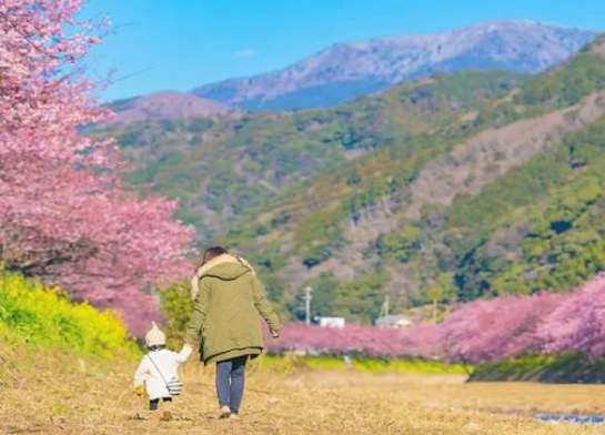 【钢城文苑】最长情的告白 【钢城文苑】最长情的告白