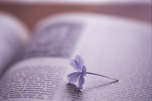 【钢城文苑】于生活的土壤奋力生长