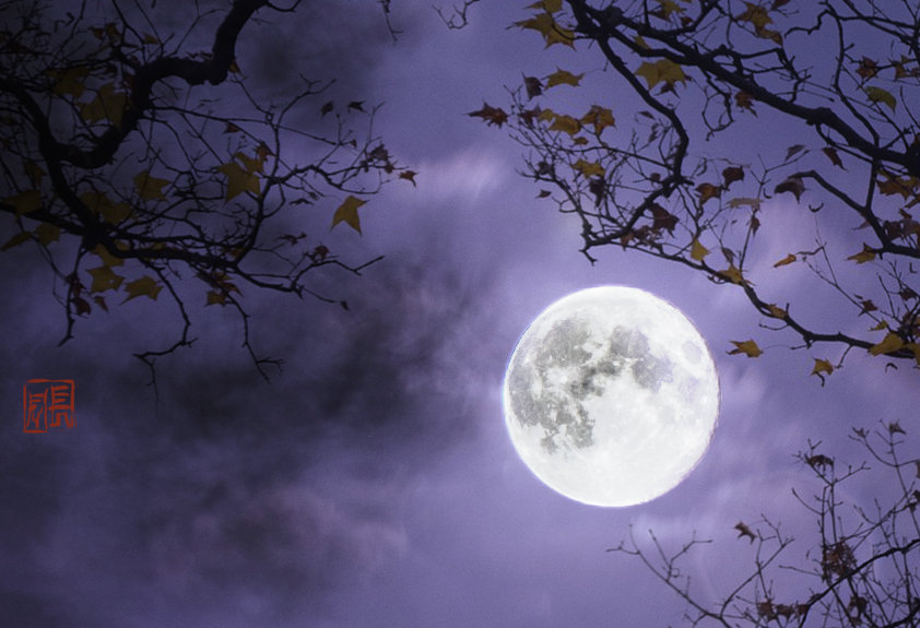 【钢城文苑】月圆中秋，人圆月下