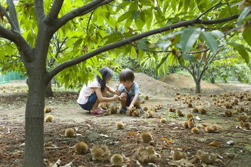 家在远山 家在远山