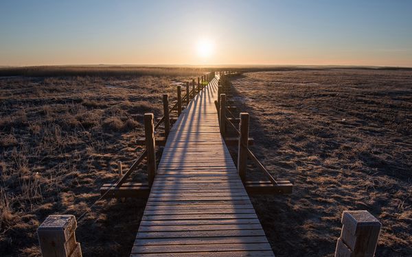 致平凡中的你们 致平凡中的你们