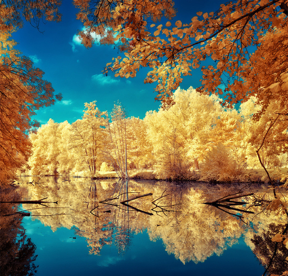 “窃”秋 “窃”秋