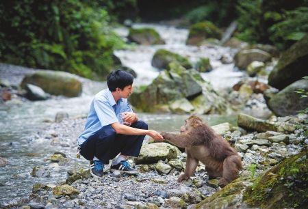 父亲与猴子的不解情缘