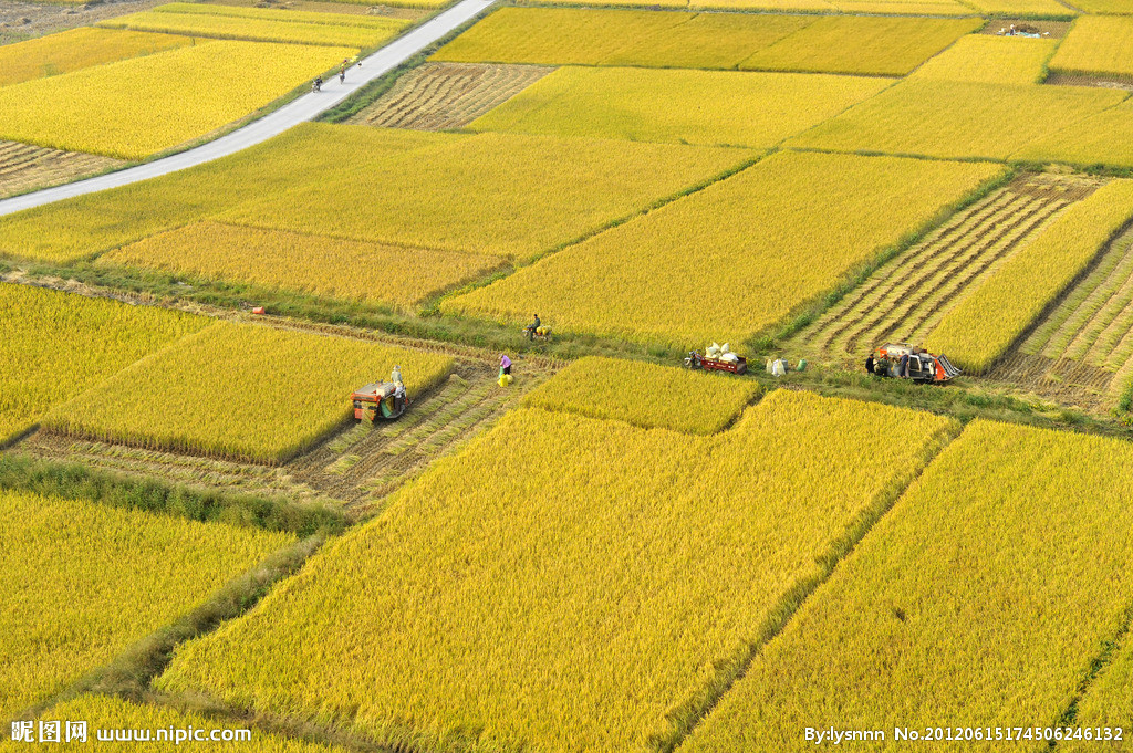 土地情缘 土地情缘