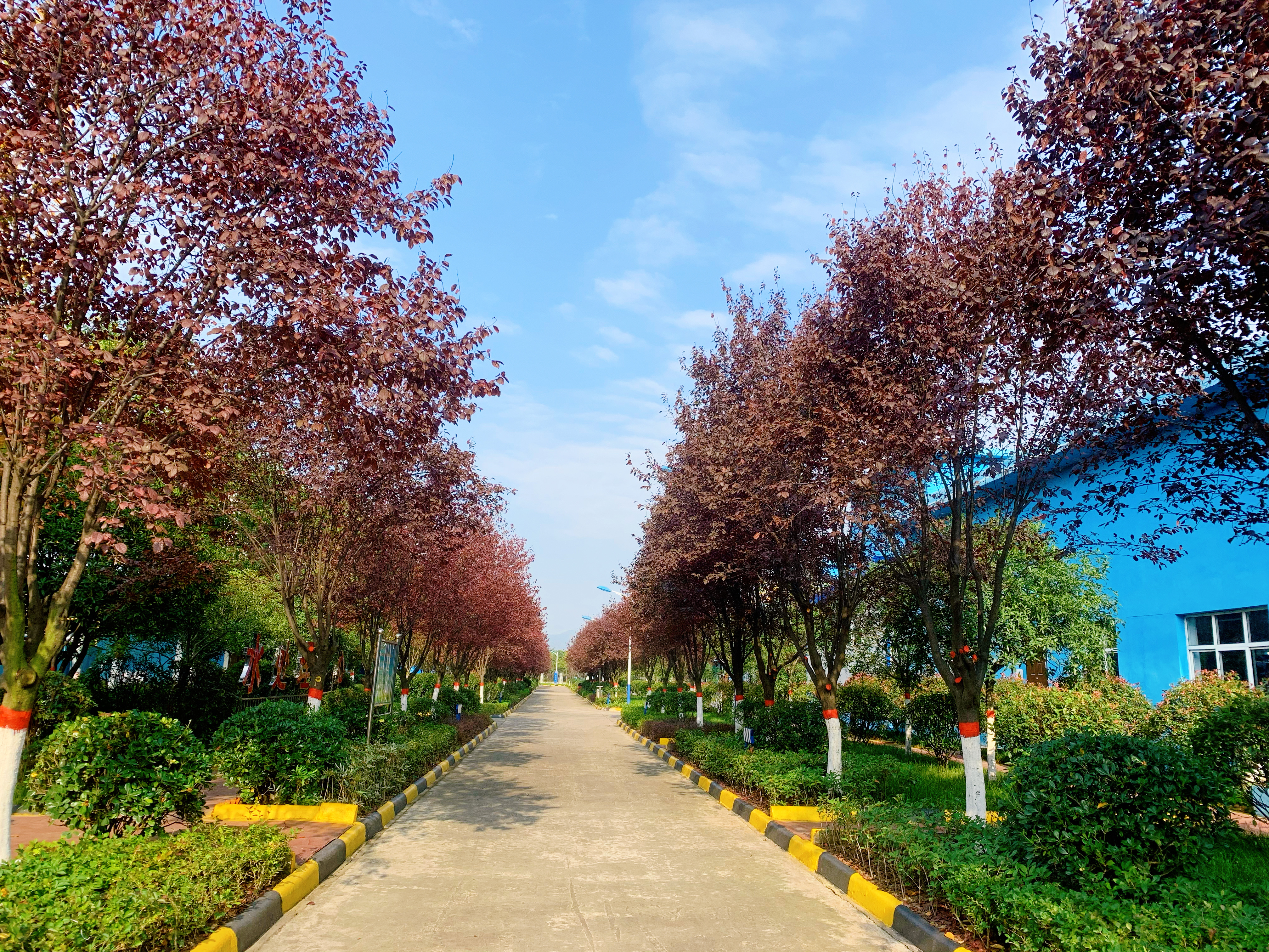 行走在钢城的秋天里