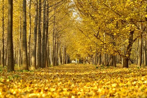 寄不出去的信 寄不出去的信