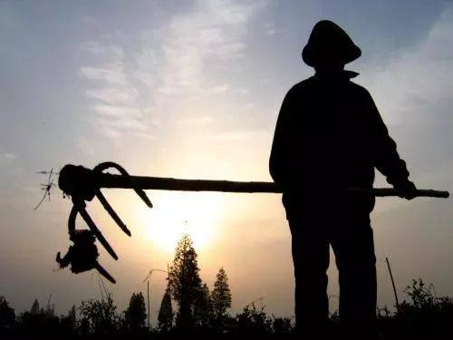 珍惜粮食的父亲 珍惜粮食的父亲