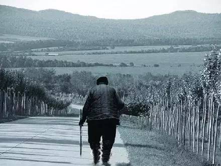 妈妈，儿子想您了！