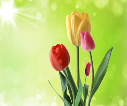 生活中的理解与支持 生活中的理解与支持