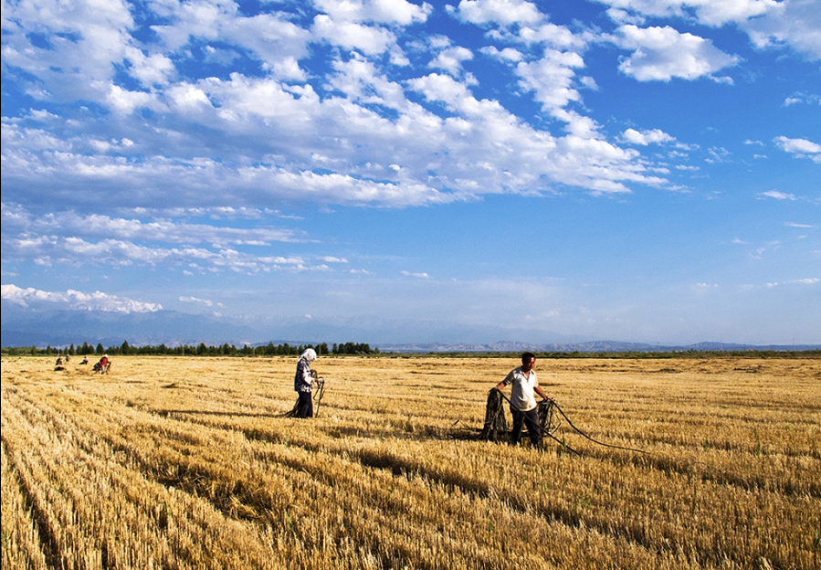 粒粒皆辛苦 粒粒皆辛苦