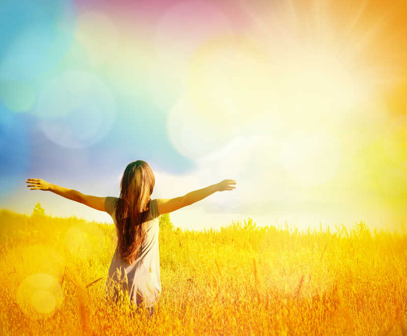 冬日里的一抹暖阳