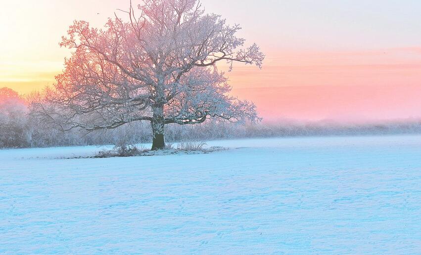 冬日暖阳 冬日暖阳