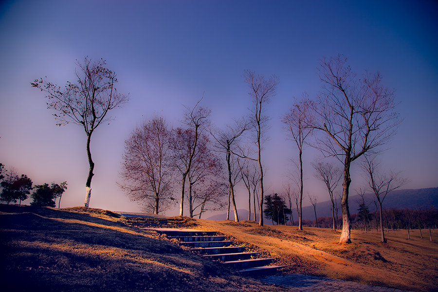 遇见冬天 遇见冬天