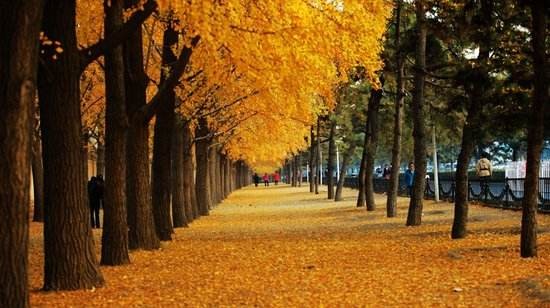 漫步在秋天 漫步在秋天