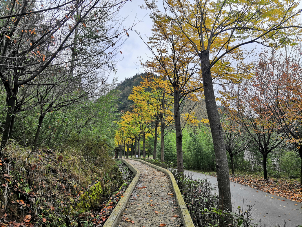 最美的季节最美的定军山