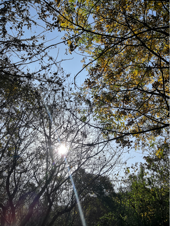 最美的季节最美的定军山