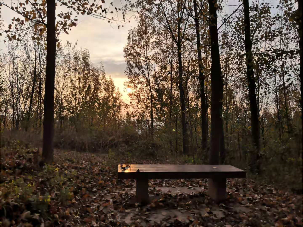 最美的季节最美的定军山