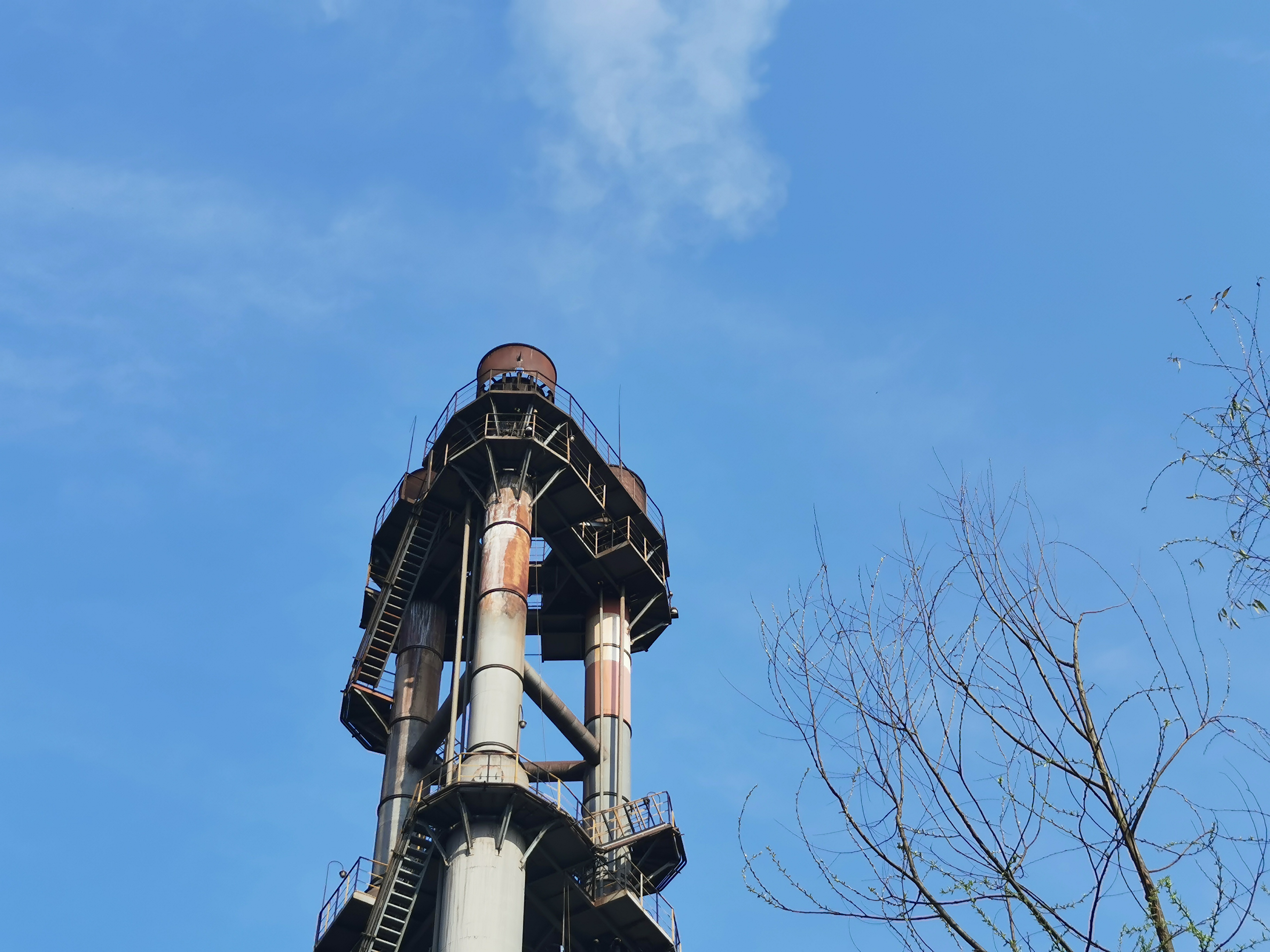 绽放在安静的角落