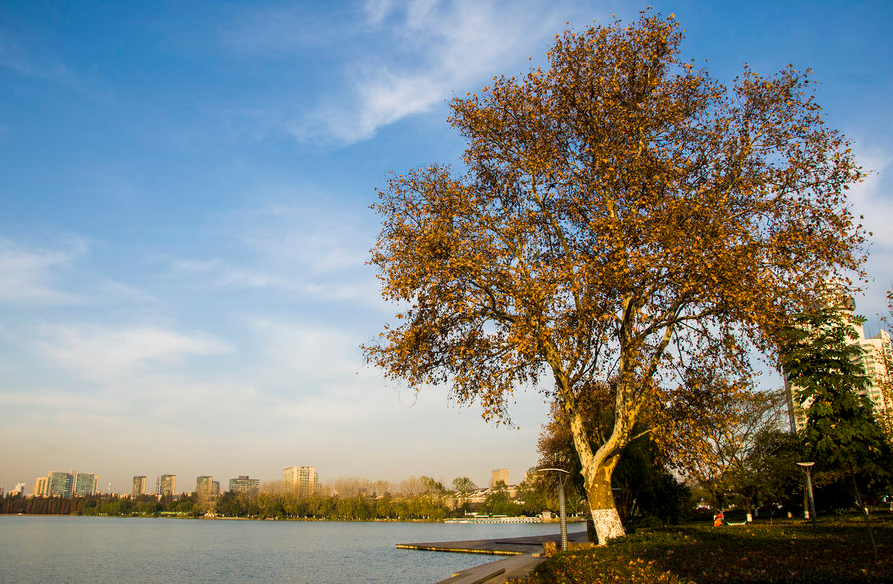 初冬的村庄 初冬的村庄