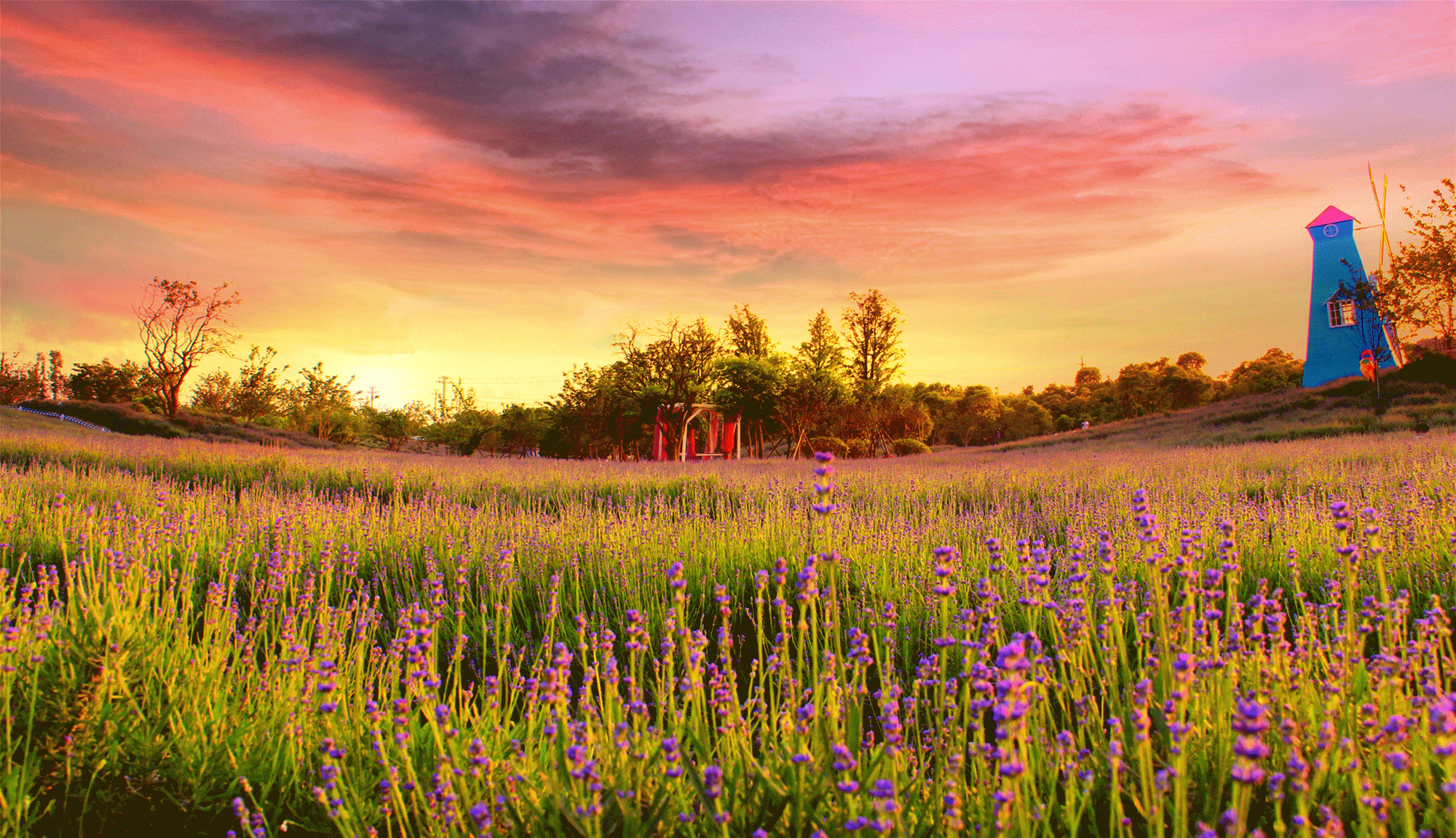 享受四季的乐趣