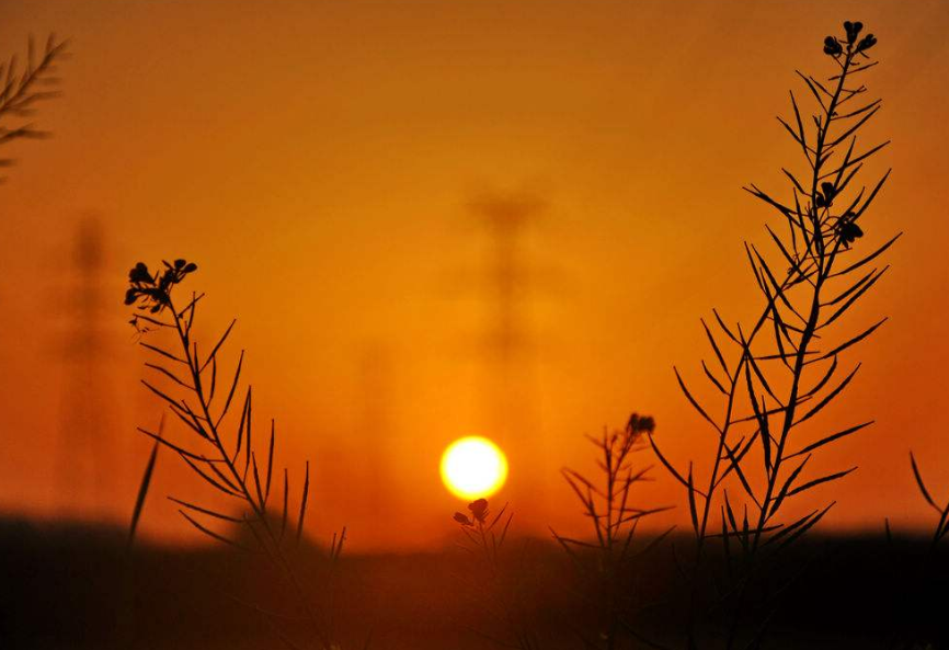 找寻方向,迎接朝阳 找寻方向,迎接朝阳