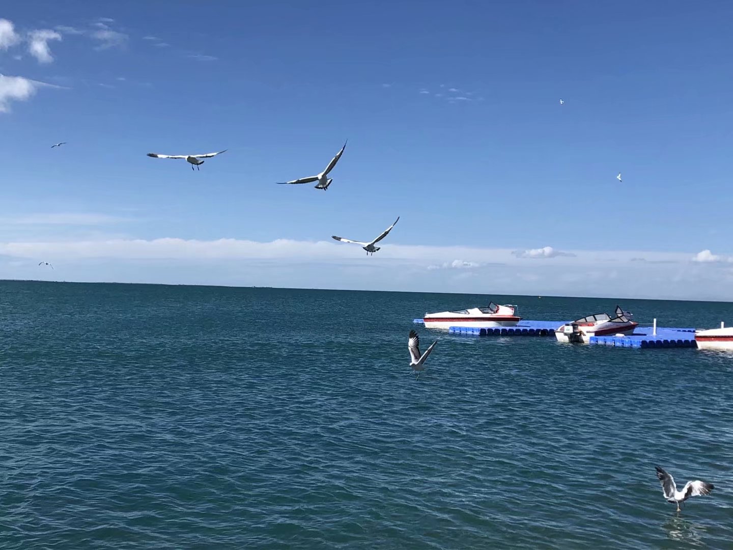 魂牵梦萦青海蓝