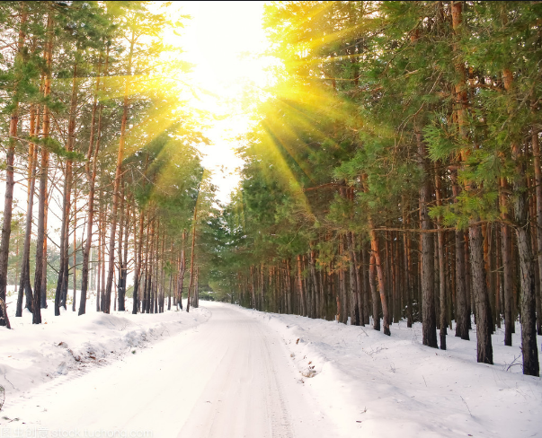 冬日暖情 冬日暖情