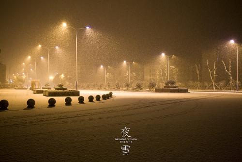 夜雪 夜雪
