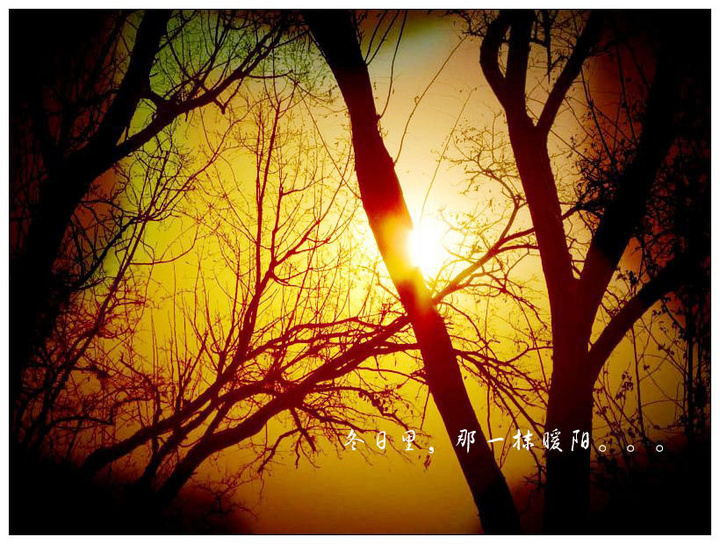 没有夏虫的时光