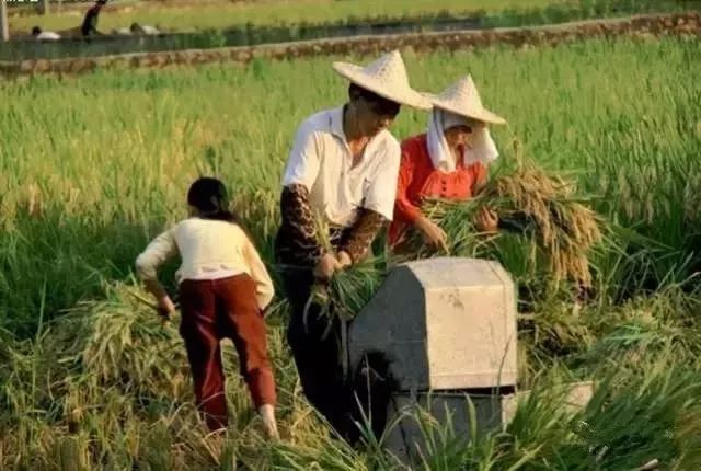 “赶上了好时候”